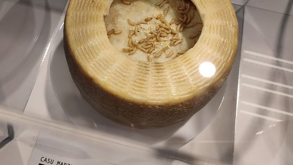 Dimineața Nebună. Muzeul alimentelor dezgustătoare &icirc;n Suedia. Ce poți degusta acolo? Audio