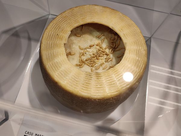 Dimineața Nebună. Muzeul alimentelor dezgustătoare &icirc;n Suedia. Ce poți degusta acolo? Audio