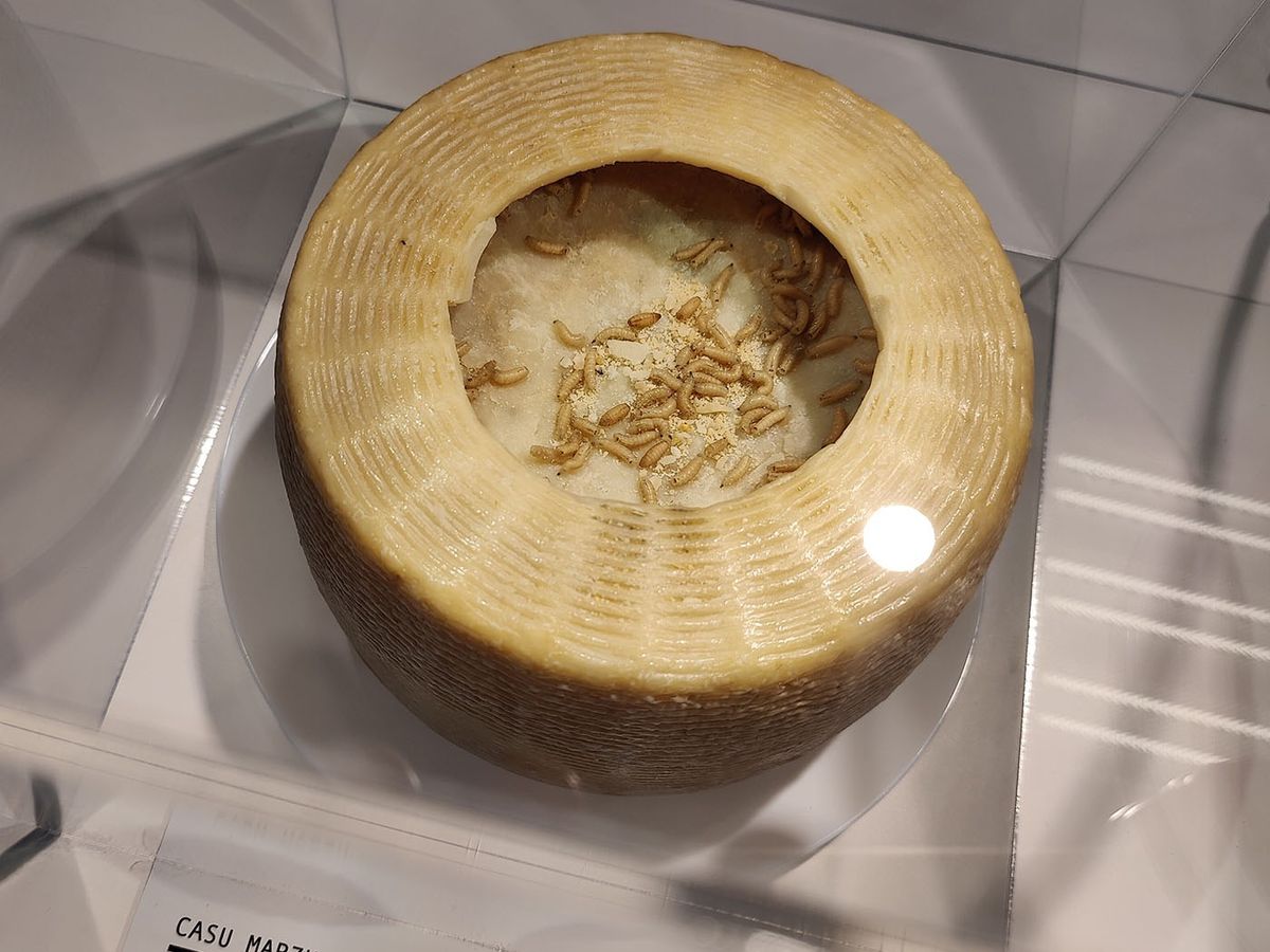 Dimineața Nebună. Muzeul alimentelor dezgustătoare &icirc;n Suedia. Ce poți degusta acolo? Audio