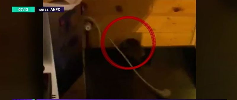 Dimineața Nebună | O patiserie din București, închisă după ce a fost filmat un șobolan. Audio