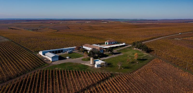 Sâmbăta aceasta, de la ora 15:00, în “ROventura”,  povești de călătorie pe tărâmul vinului