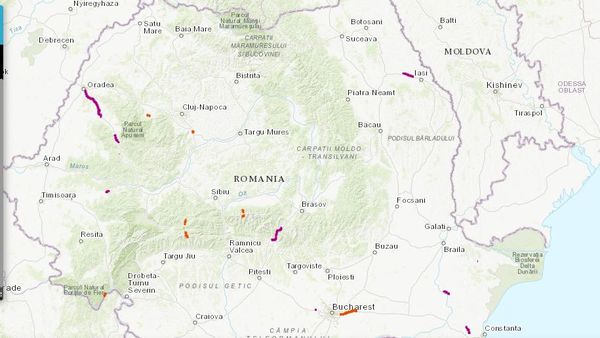 Harta drumurilor închise: Unde poţi vedea, în timp real, pe ce şosele nu se circulă?