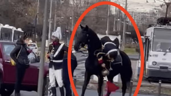 Dimineața Nebună. Jandarmul care a căzut de pe cal de Ziua Națională, cercetat de procurori