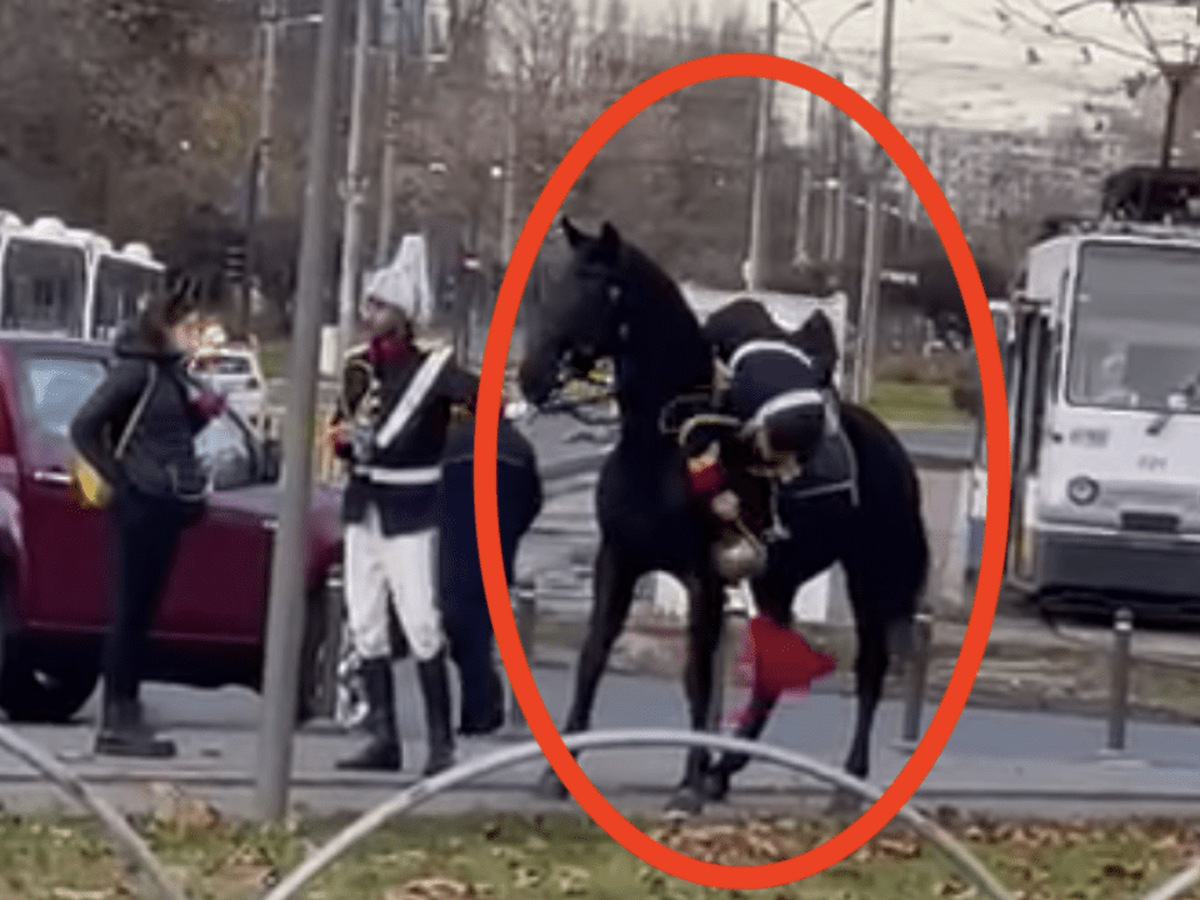 Dimineața Nebună. Jandarmul care a căzut de pe cal de Ziua Națională, cercetat de procurori