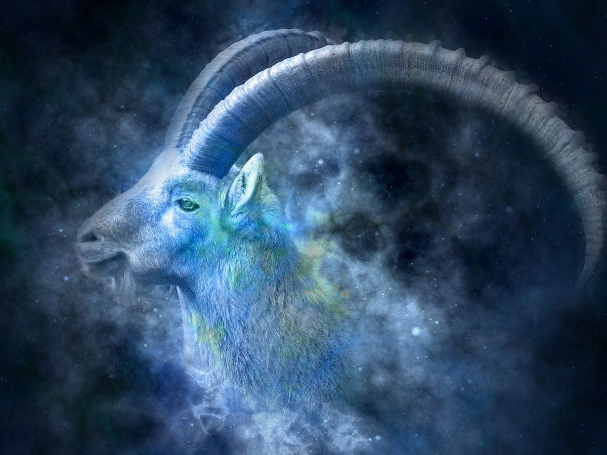 Vedete născute în zodia Capricorn