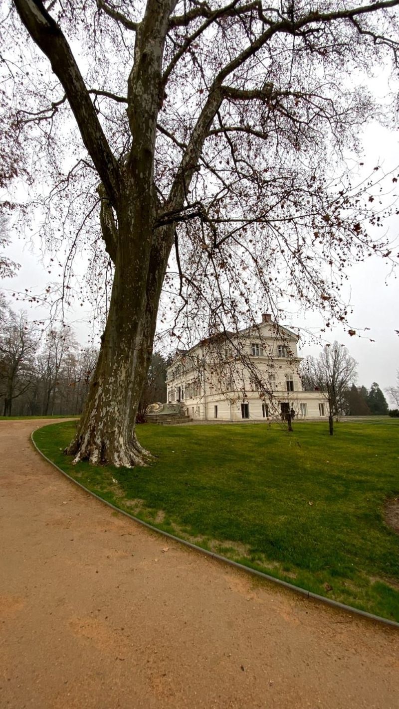 Sâmbătă, de la ora 15:00, în „ROventura”! Crăciun de poveste la Săvârșîn