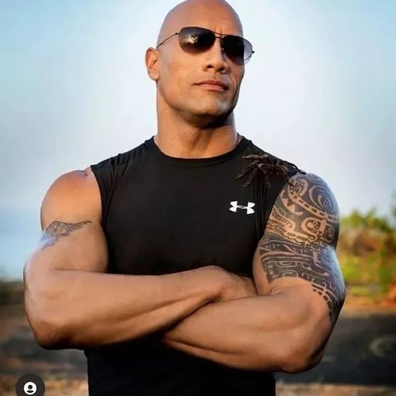 Dwayne Johnson l-a refuzat pe Vin Diesel de a reveni în următorului film „Fast & Furious”