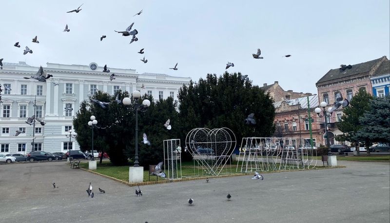 Sâmbăta aceasta, de la ora 15:00, în „ROventura”,  Pe meleaguri arădene