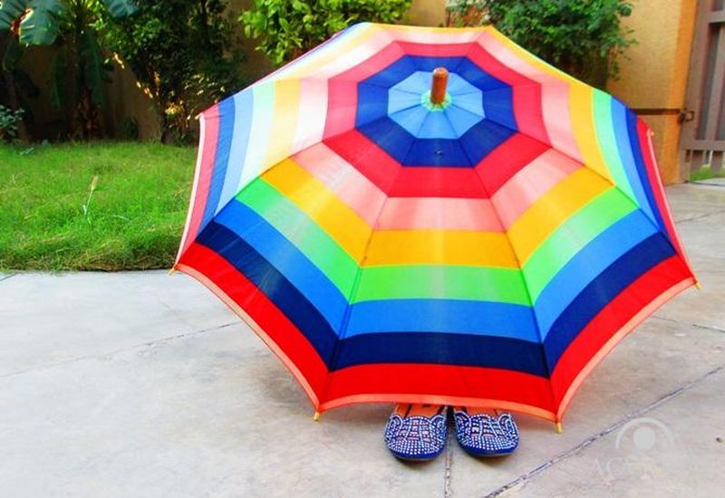 10 februarie 2022. Ziua Internaţională a Umbrelei