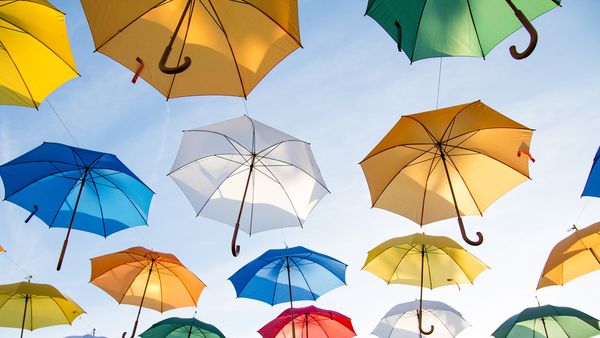 10 februarie 2022. Ziua Internaţională a Umbrelei