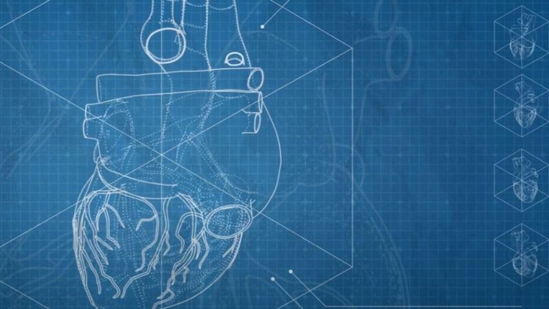 AUDIO: Minelli a lansat piesa &bdquo;Heart Instructions&rdquo;