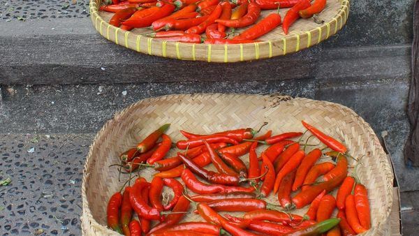 24 februarie 2022: Ziua Naţională a Ardeiului Iute. Ce beneficii are această legumă