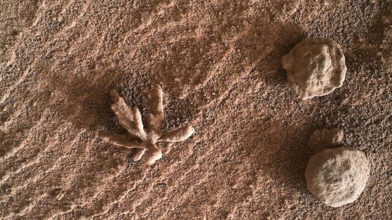 Curiosity a găsit &bdquo;flori&rdquo; pe Marte. Ce sunt, de fapt, aceste formaţiuni minerale?