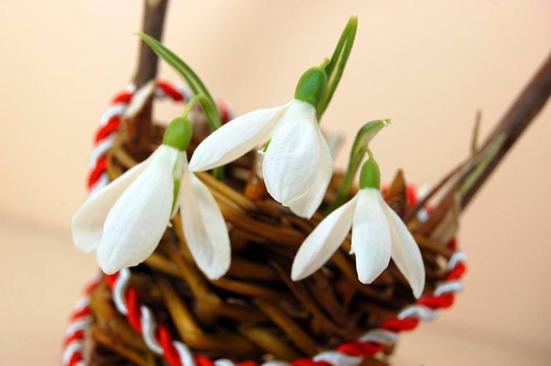 Mesaje 8 Martie 2022: La mulţi ani de Ziua Femeii