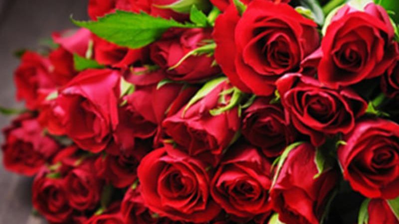 La mulţi ani de 8 Martie: Mesaje emoţionante pentru mama