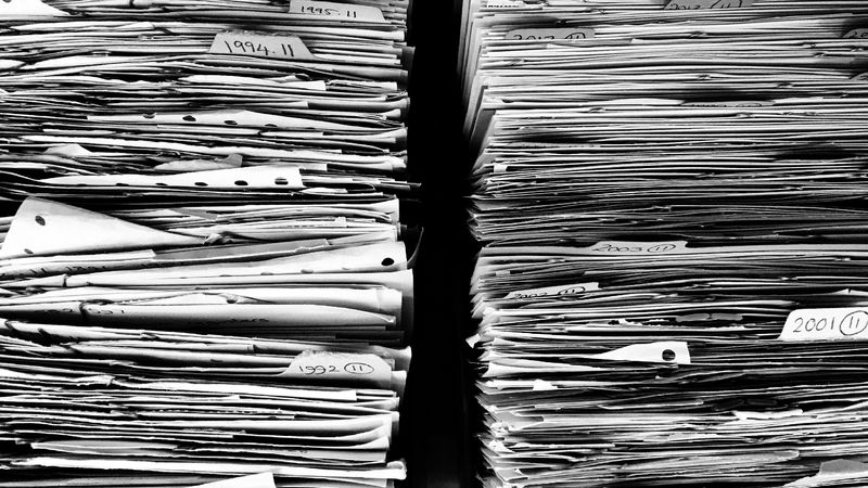 Recensăm&acirc;ntul populaţiei 2022: Cum trebuie completat formularul online pentru a primi o zi liberă?