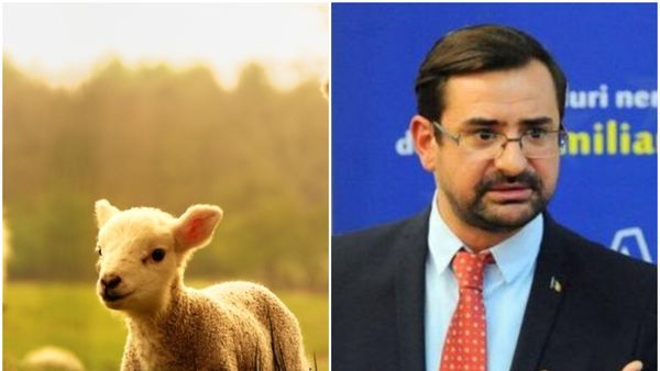 Dimineaţa Nebună: Cât va costa mielul de Paște. Răspunsul dat de ministrul Agriculturii: „Fix exact cât o să plătim pe el”. Audio