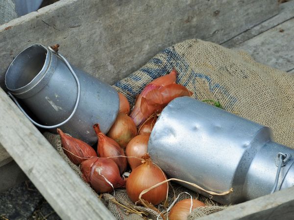 Dimineața Nebună. Dieta medievală! Ce m&acirc;ncau bogații și săracii din Epoca Medievală?! AUDIO
