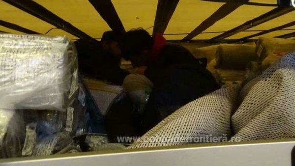 Dimineața Nebună. Patru refugiați afgani au încercat să intre în România înfășurați în covoare. Video/AUDIO