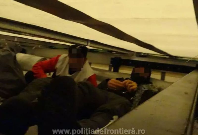 Dimineața Nebună. Patru refugiați afgani au încercat să intre în România înfășurați în covoare. Video/AUDIO