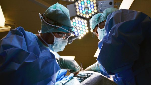 Dimineața Nebună. Ce se întâmplă cu fierea după ce ți-o scoți?! Audio