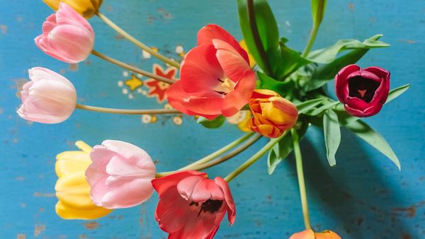 Mesaje de Florii 2022: Urări şi felicitări cu La mulţi ani pentru cei care poartă numele de flori!