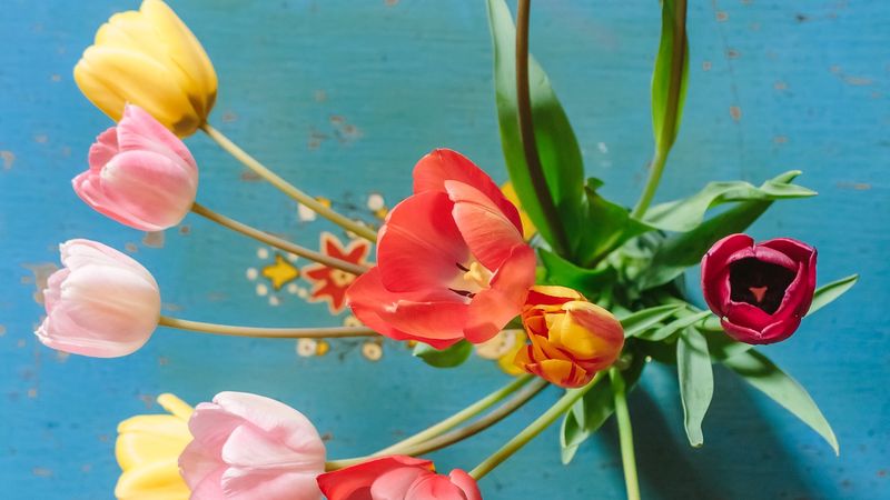 Mesaje de Florii 2022: Urări şi felicitări cu La mulţi ani pentru cei care poartă numele de flori!