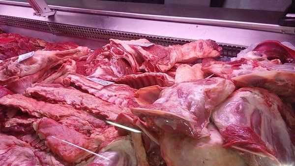 Avertisment îngrijorător pentru toți românii! Carne de câine, vândută drept carne de miel în unele zone din România: „Au fost descoperite tentative de trafic al cărnii de câine”