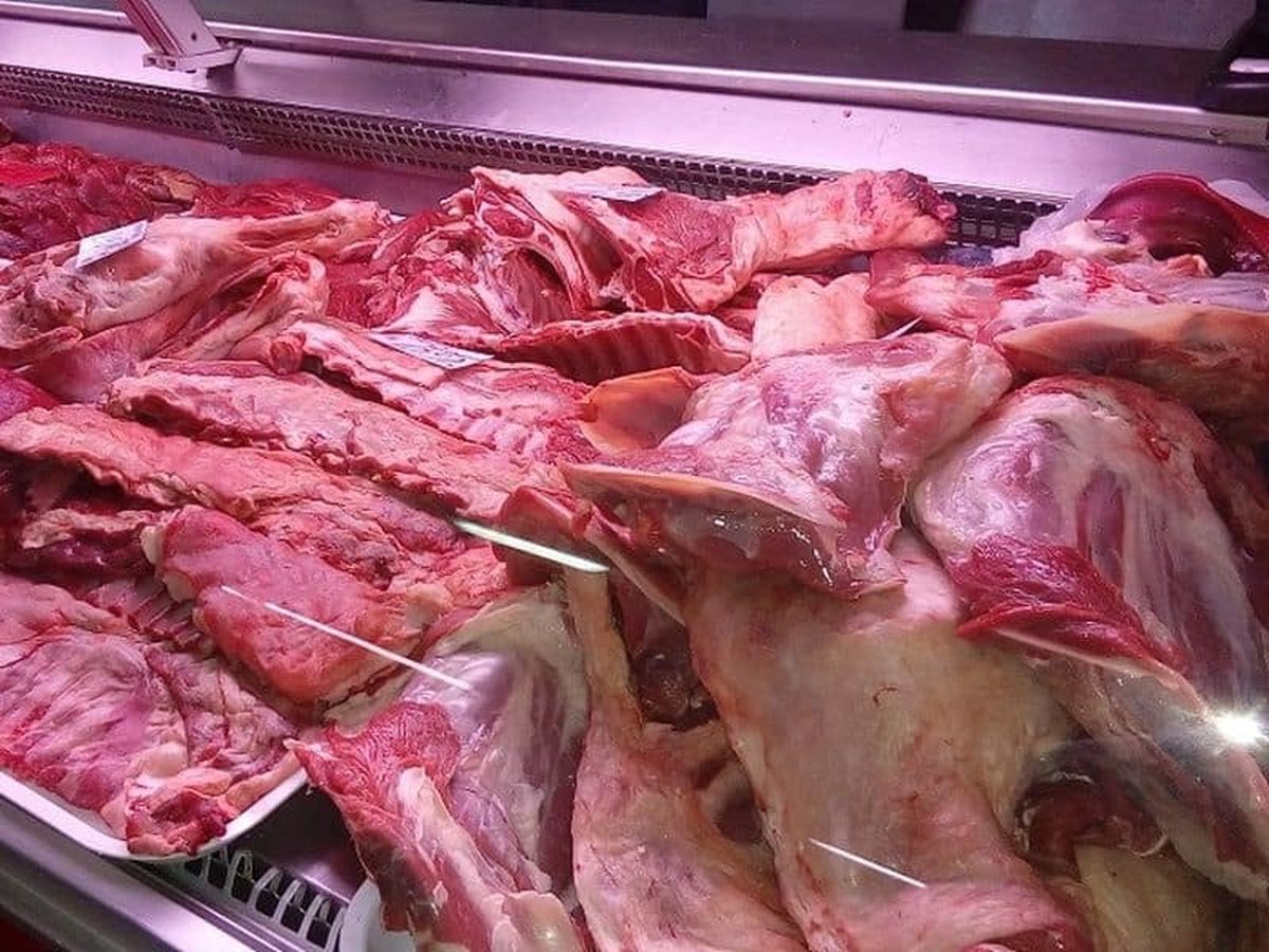 Avertisment îngrijorător pentru toți românii! Carne de câine, vândută drept carne de miel în unele zone din România