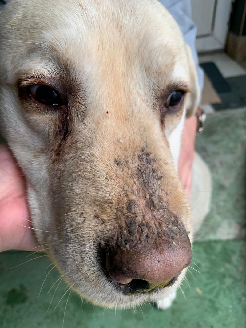 Andreea Bălan este atacată din nou de George Burcea