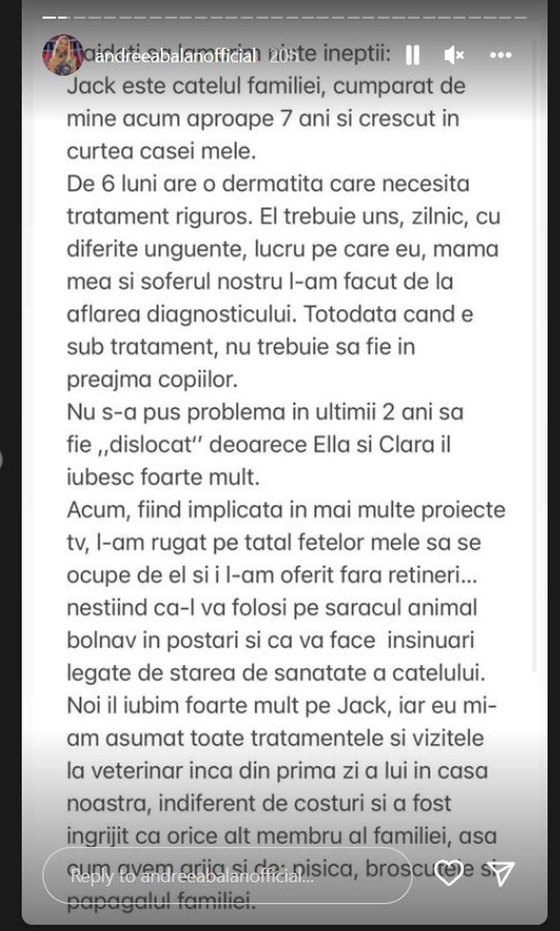 Andreea Bălan, prima reacție după ce fostul soț, George Burcea, i-a făcut plângere la Protecția Animalelor: