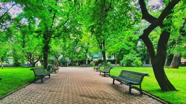 Bancul zilei de joi, 26 mai 2022: Doi olteni dormeau pe o bancă dintr-un parc din Bucureşti