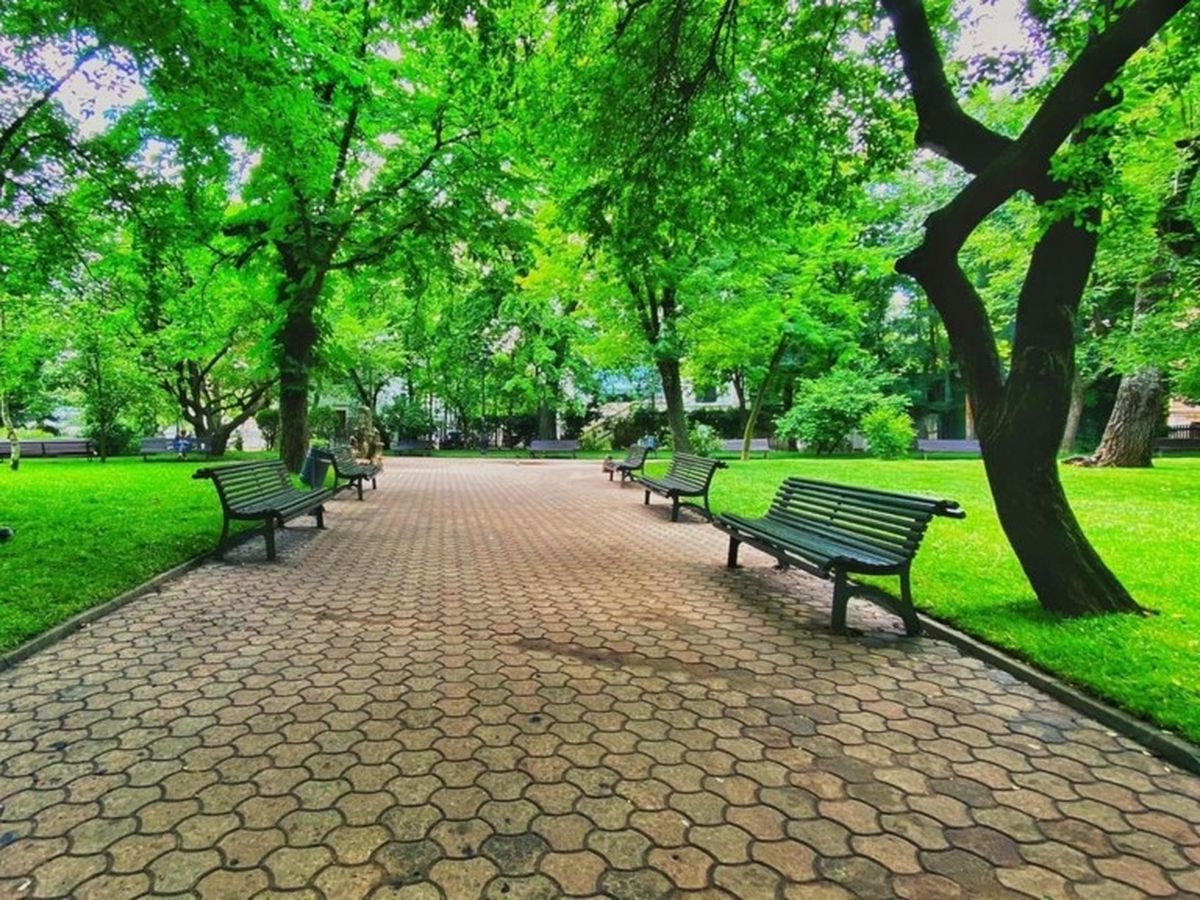 Bancul zilei de joi, 26 mai 2022: Doi olteni dormeau pe o bancă dintr-un parc din Bucureşti