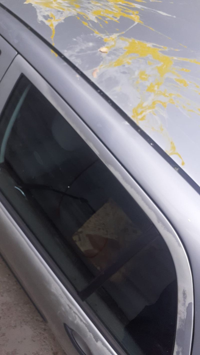 Dimineața Nebună. Bătaie cu ouă pe locurile de parcare din Bârlad. Un bărbat și-a găsit mașina murdară de ouă. AudioDimineața Nebună. Bătaie cu ouă pe locurile de parcare din Bârlad. Un bărbat și-a găsit mașina murdară de ouă. Audio