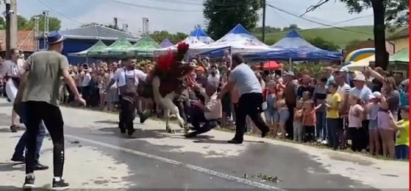 Barbat atacat de un bou la un festival din Cluj