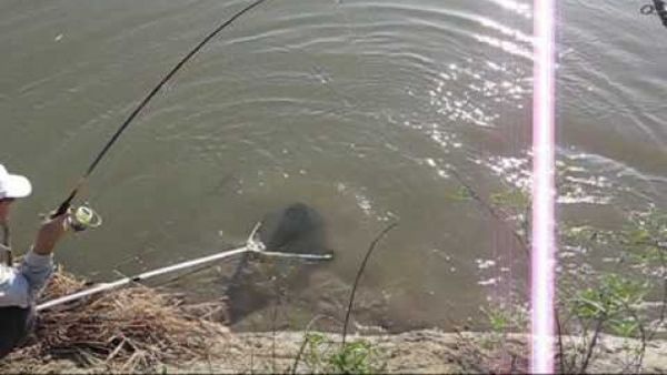 Bancul zilei de joi, 16 iunie 2022. Un poliţist este la pescuit