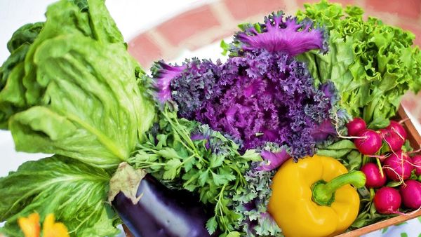 17 iunie 2022: Ziua mâncării de legume