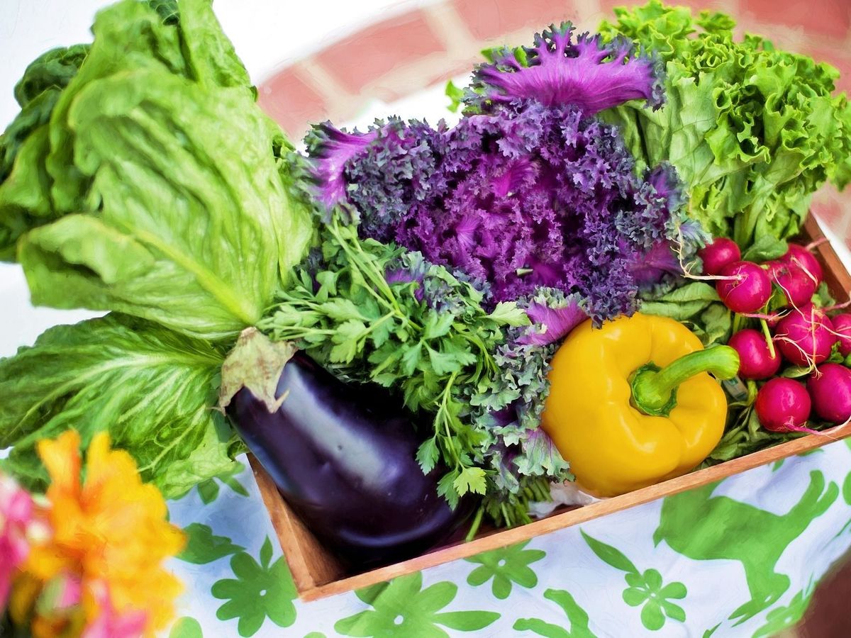 16 iunie 2022: Ziua mâncării de legume