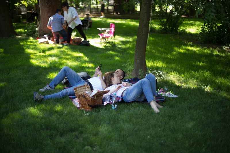 18 iunie 2022. Ziua internatională a picnicului