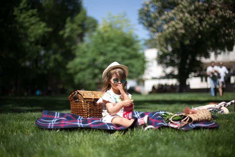 18 iunie 2022. Ziua internatională a picnicului