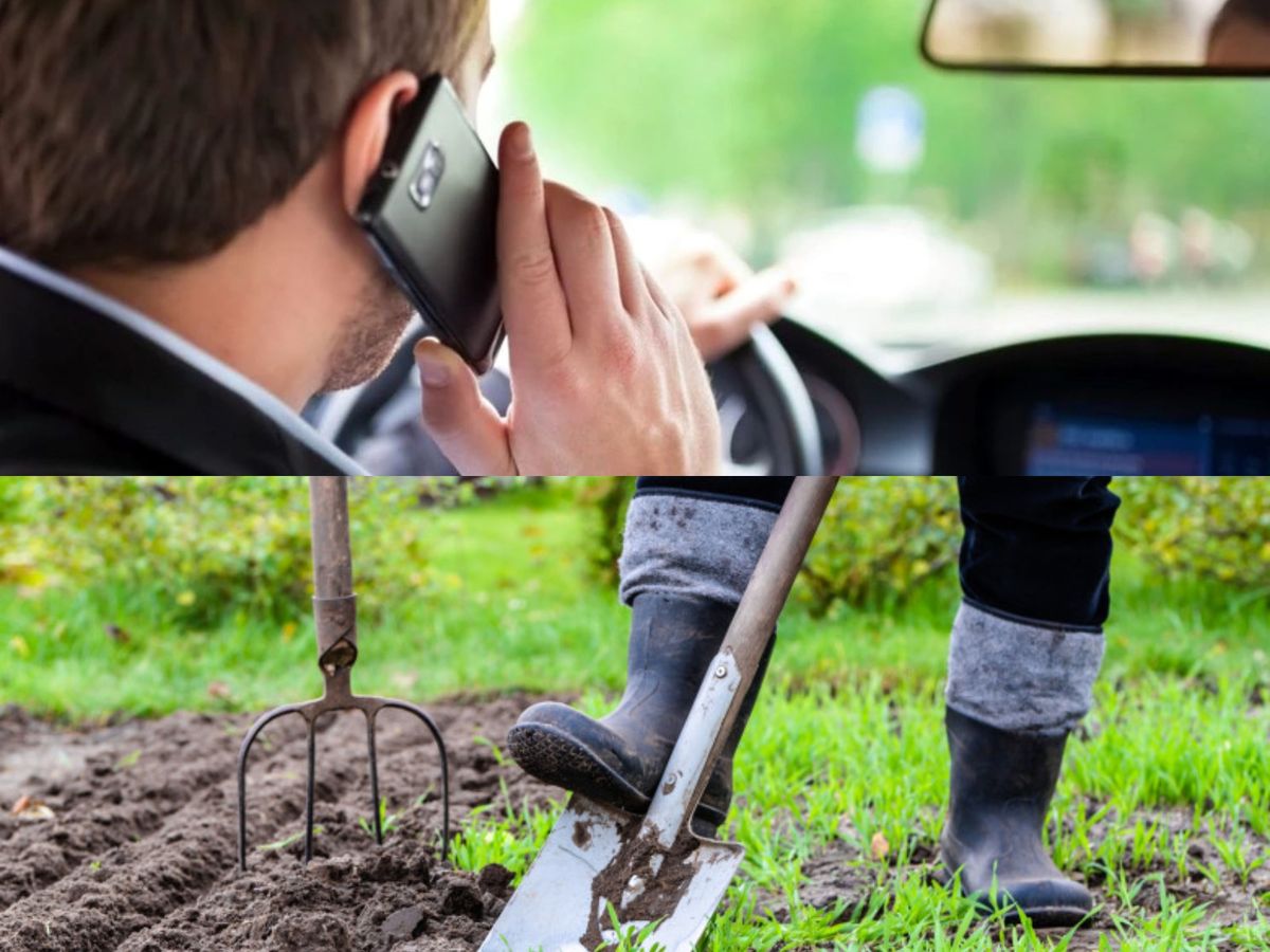 Un bărbat a dorit să se angajeze ca șofer la o instituție de stat, dar trebuia să fie un grădinar și hamal bun