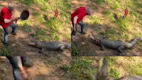 VIDEO: Un bătrân înarmat cu o tigaie s-a luptat cu un crocodil de 2,5 metri: "A primit o lecție bună"! Imaginile au ajuns virale