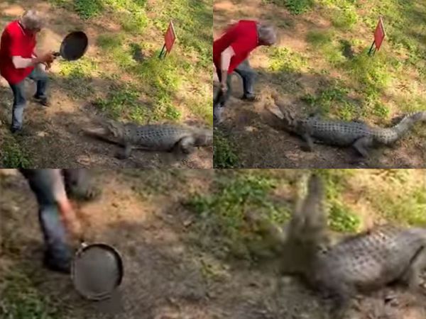 VIDEO: Un bătr&acirc;n &icirc;narmat cu o tigaie s-a luptat cu un crocodil de 2,5 metri: "A primit o lecție bună"! Imaginile au ajuns virale