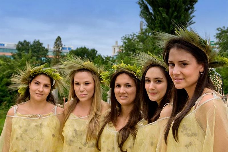 Mesaje de Sânziene 2022 pentru reţelele sociale