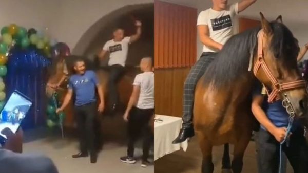 Un cal a fost invitatul special al unei petreceri de majorat din Brașov! Imaginile au devenit virale pe internet. Video