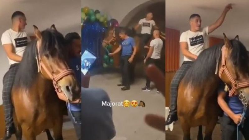 Un cal a fost invitatul special al unei petreceri de majorat din Brașov