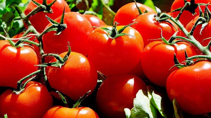 Dimineața Nebună. Un legumitor din Bihor a vrut să-i &icirc;nșele pe inspectori cu roșii legate cu ața. Voia să beneficieze de subvențiile din programul Tomata. Audio