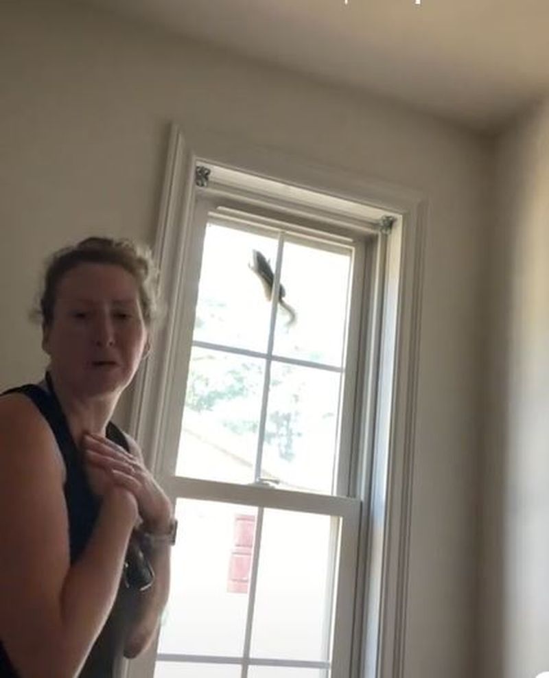 O femeie a devenit virală pe Tik Tok, după ce a încercat să scoată o veveriță blocată în fereastra casei sale