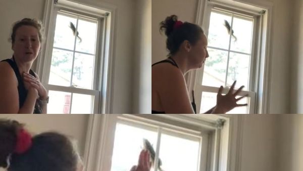 VIDEO: O femeie a devenit virală pe Tik Tok, după ce a încercat să scoată o veveriță blocată în fereastra casei sale: „Te rog să nu mă muști”