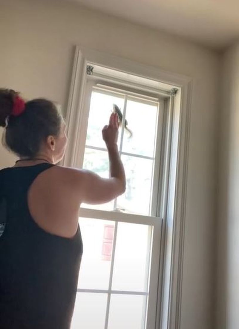 O femeie a devenit virală pe Tik Tok, după ce a încercat să scoată o veveriță blocată în fereastra casei sale
